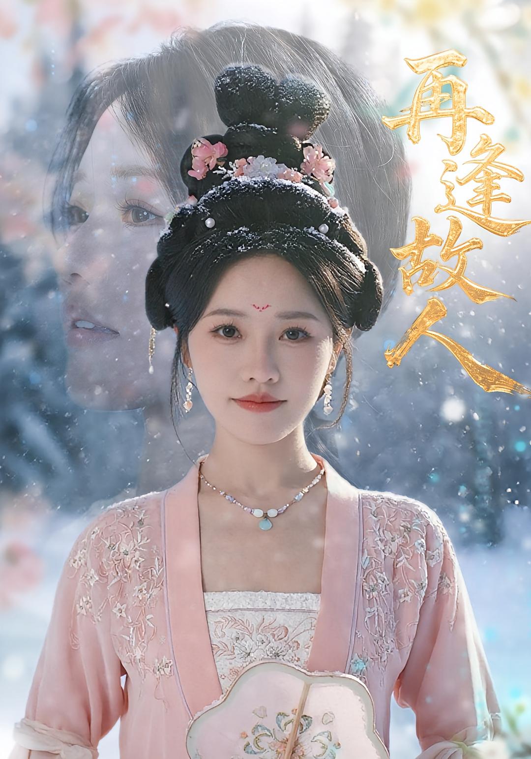 再逢故人海报