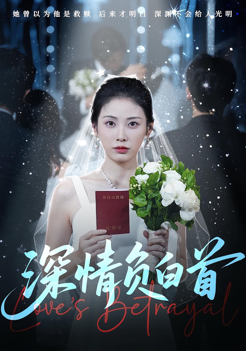 深情负白首海报