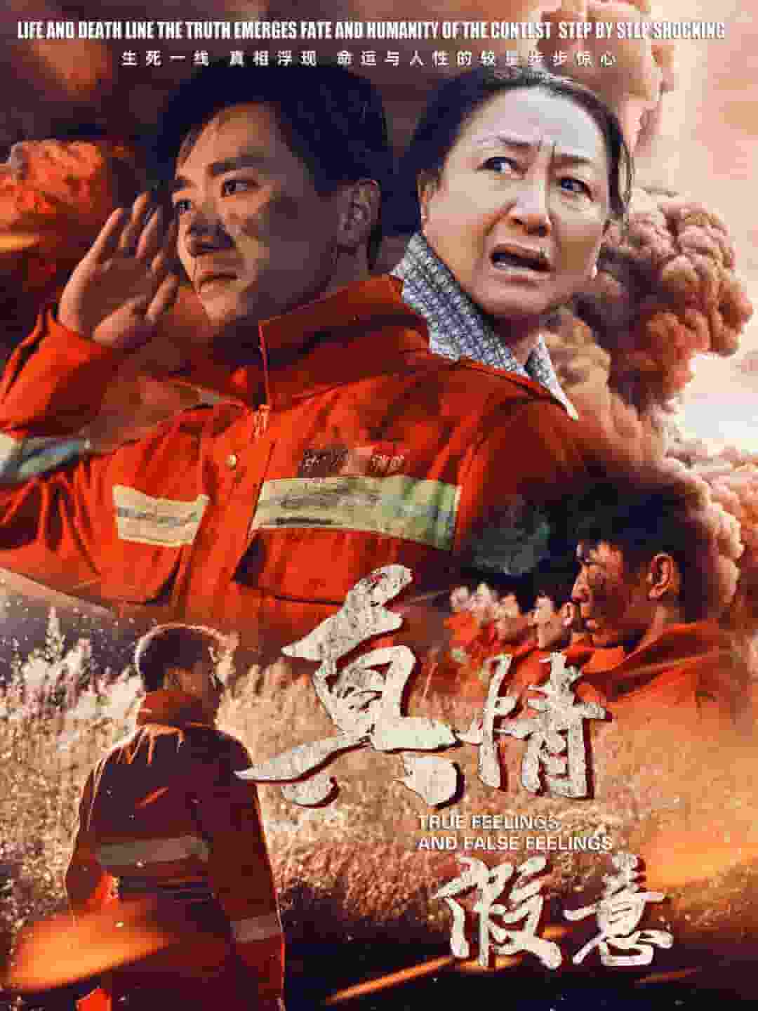 真情假意海报