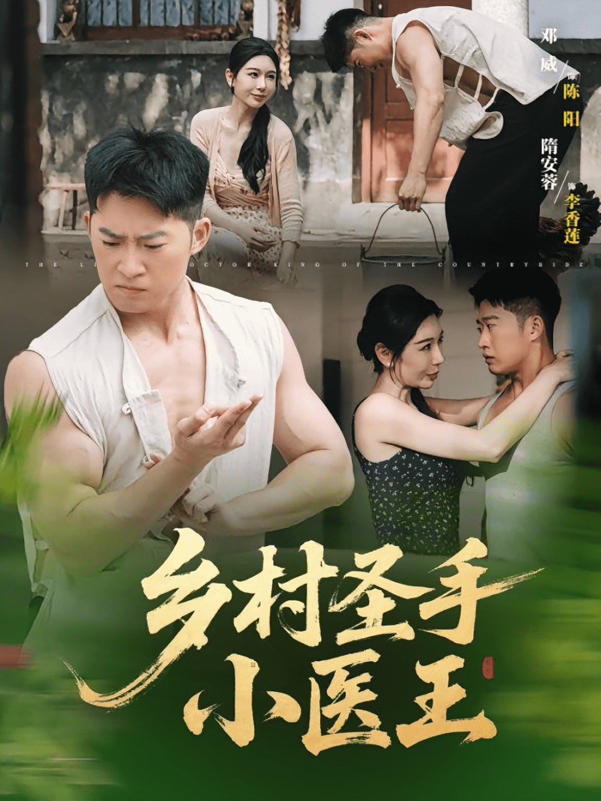 乡村圣手小医王海报