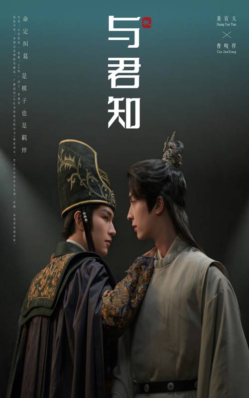 与君知海报