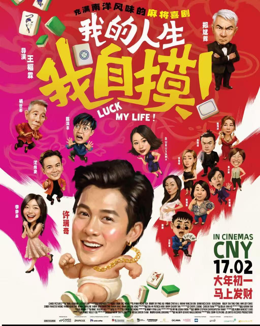 我的人生我自摸海报