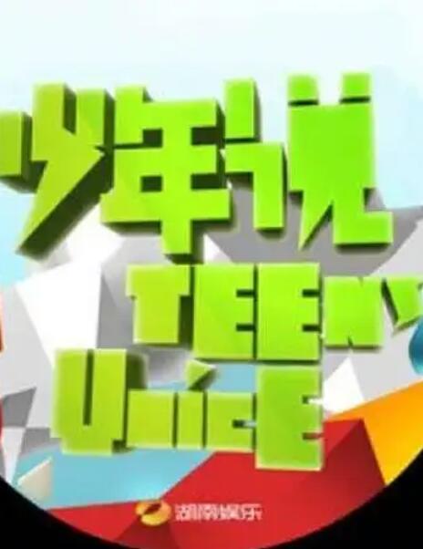少年说2011海报
