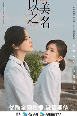 以美之名海报