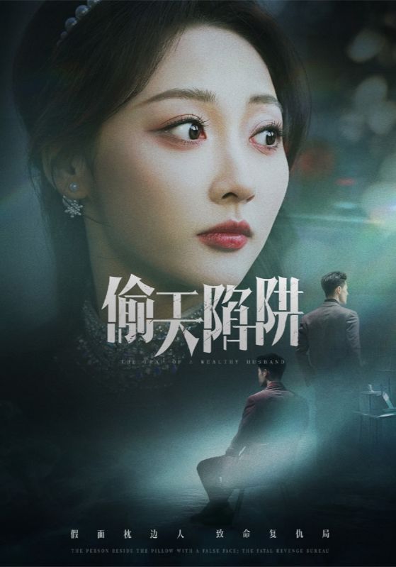 偷天陷阱海报