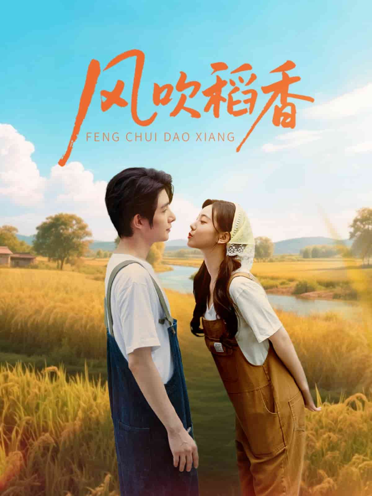 风吹稻香海报