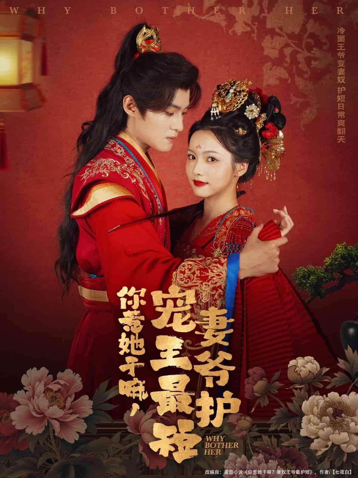 你惹她干嘛，宠妻王爷最护短海报