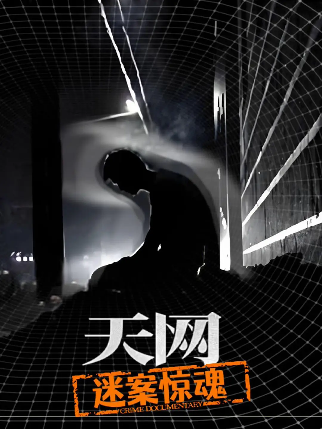 天网：迷案惊魂海报