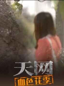 天网：血色花季海报