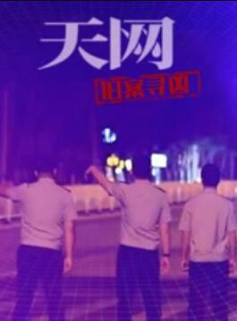 天网：旧案寻凶海报