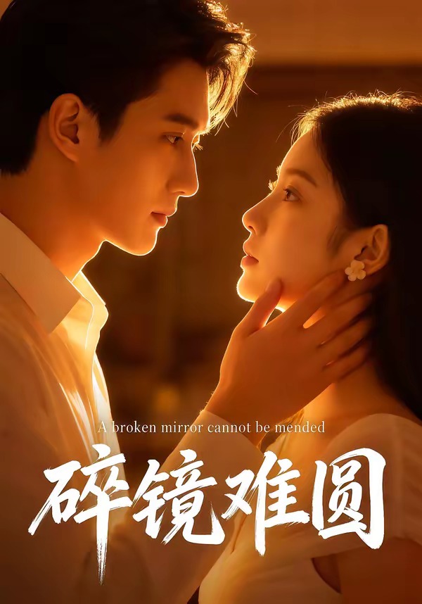 碎镜难圆海报