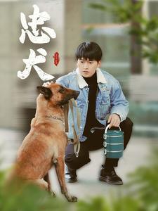 忠犬（短剧版）海报
