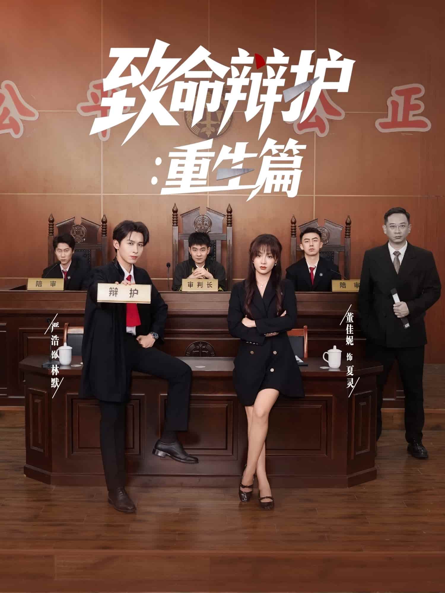 致命辩护重生篇海报