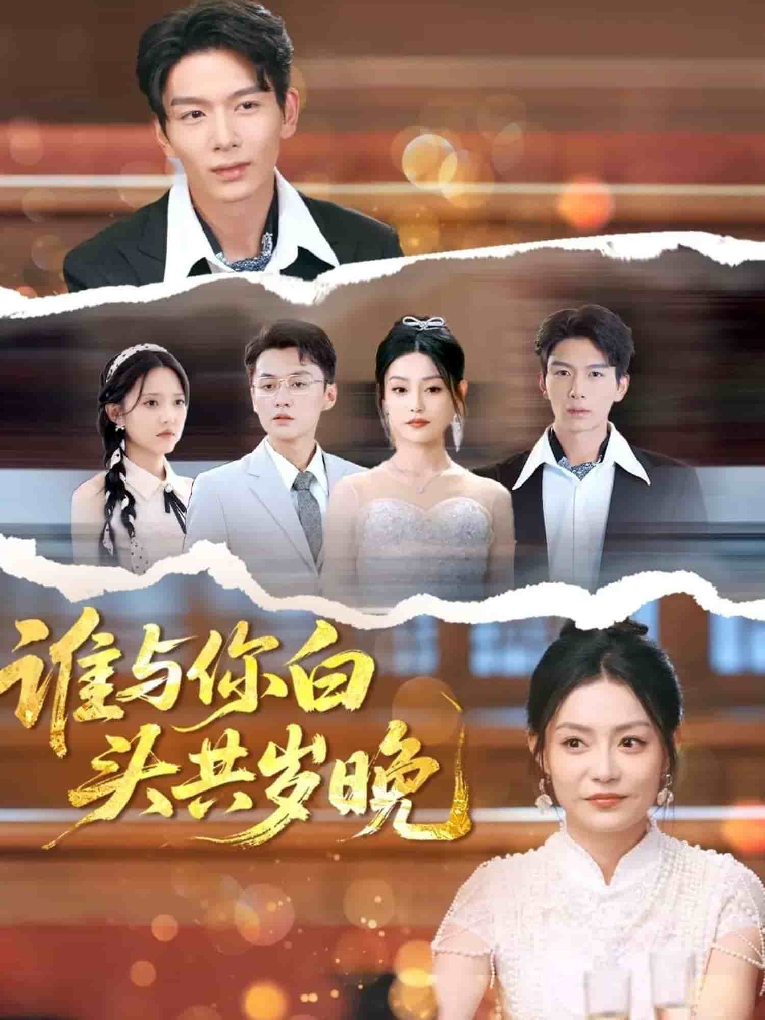 谁与你白头共岁晚海报