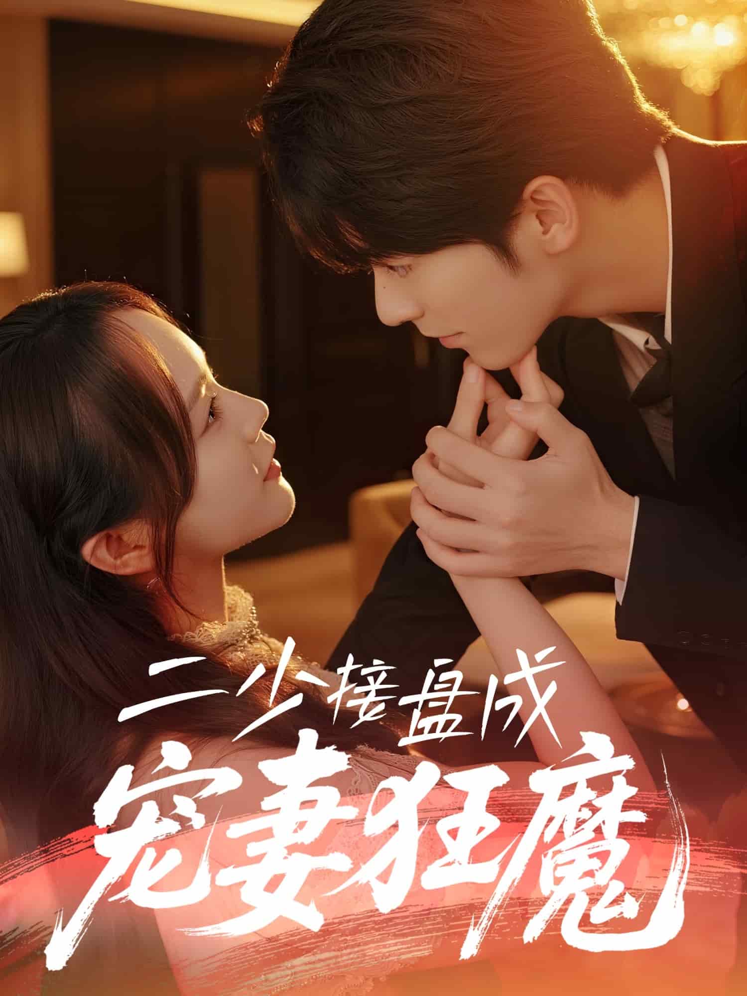 二少接盘成宠妻狂魔海报