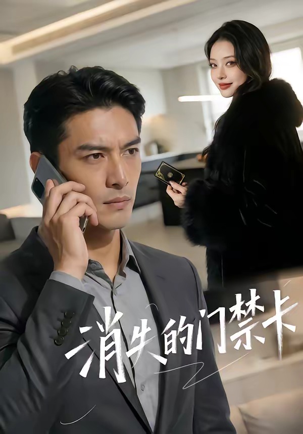 消失的门禁卡海报