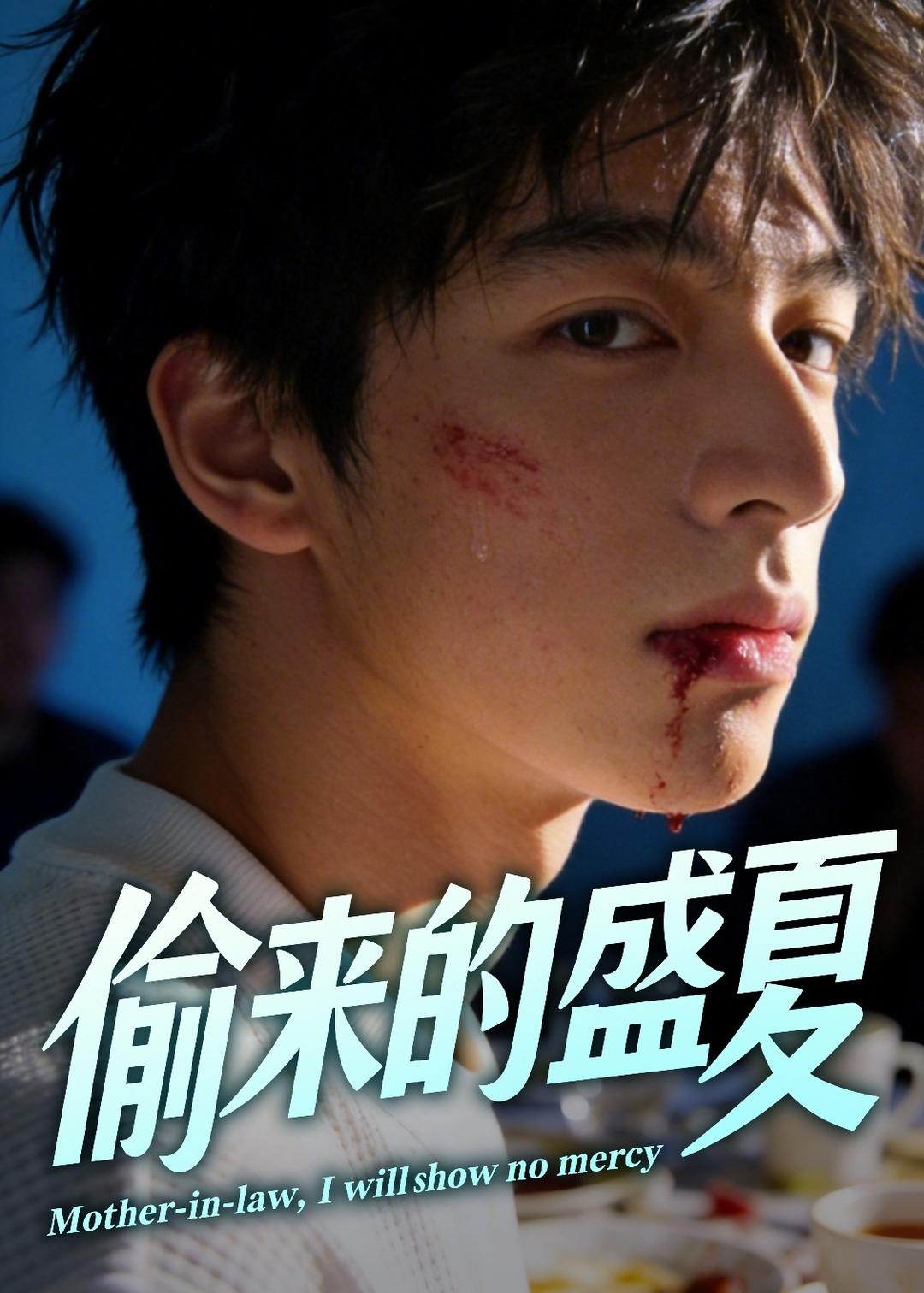 偷来的盛夏海报