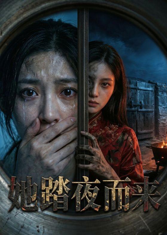 她踏夜而来海报
