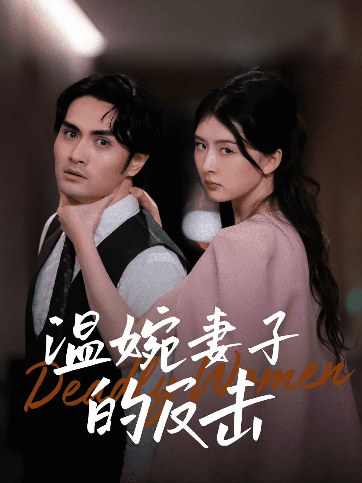 温婉妻子的反击海报