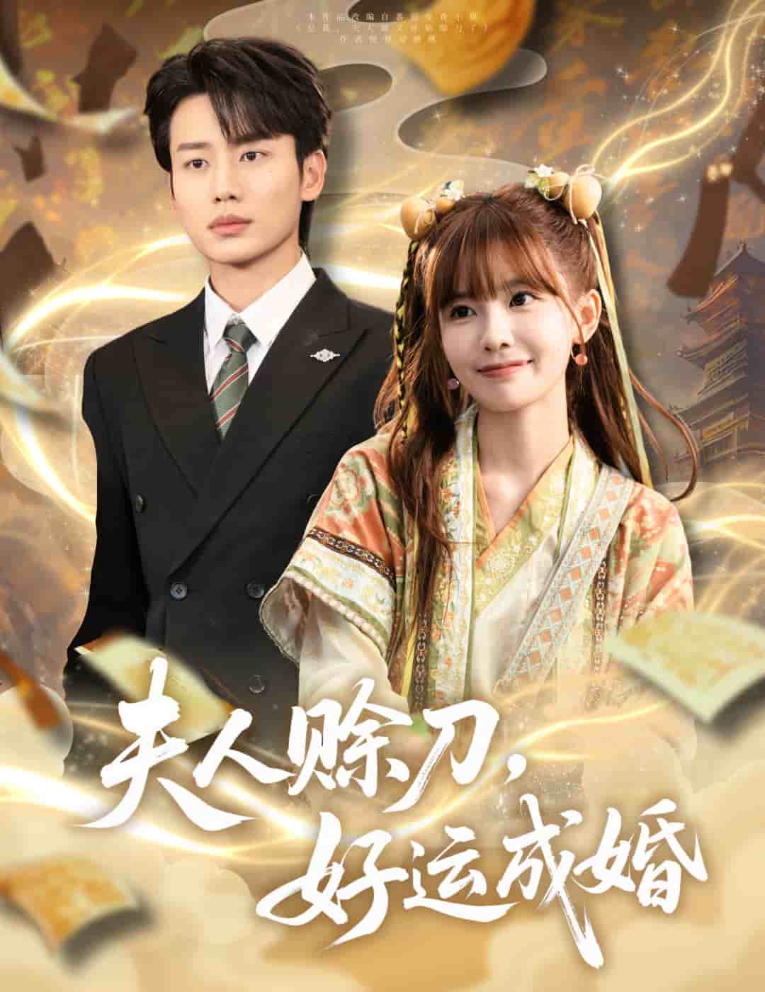 夫人赊刀好运成婚海报