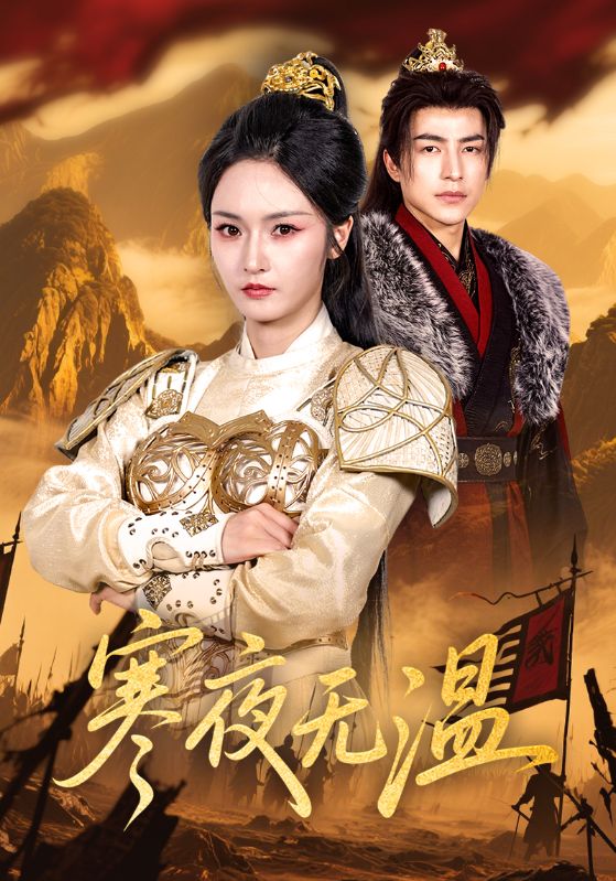 寒夜无温海报