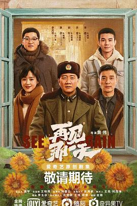 再见,那一天海报