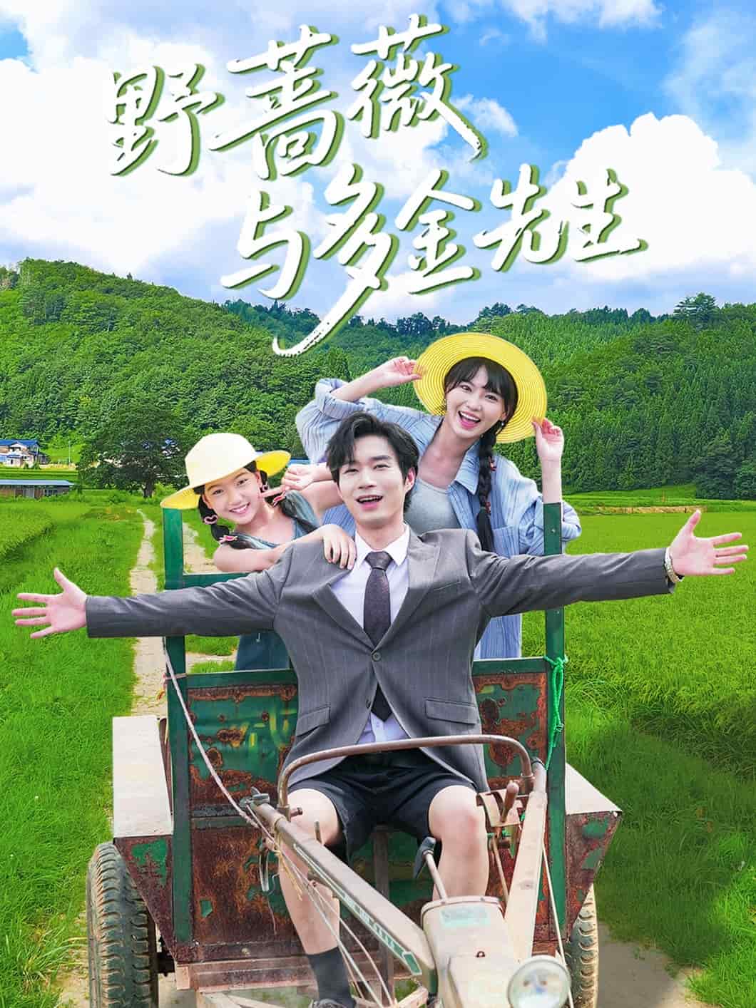 野蔷薇与多金先生海报