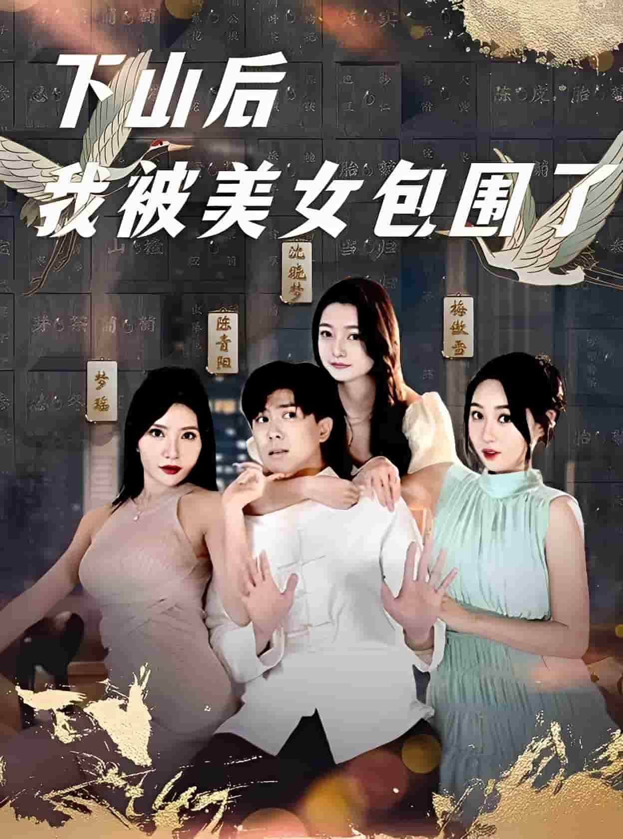 下山后我被美女包围了海报