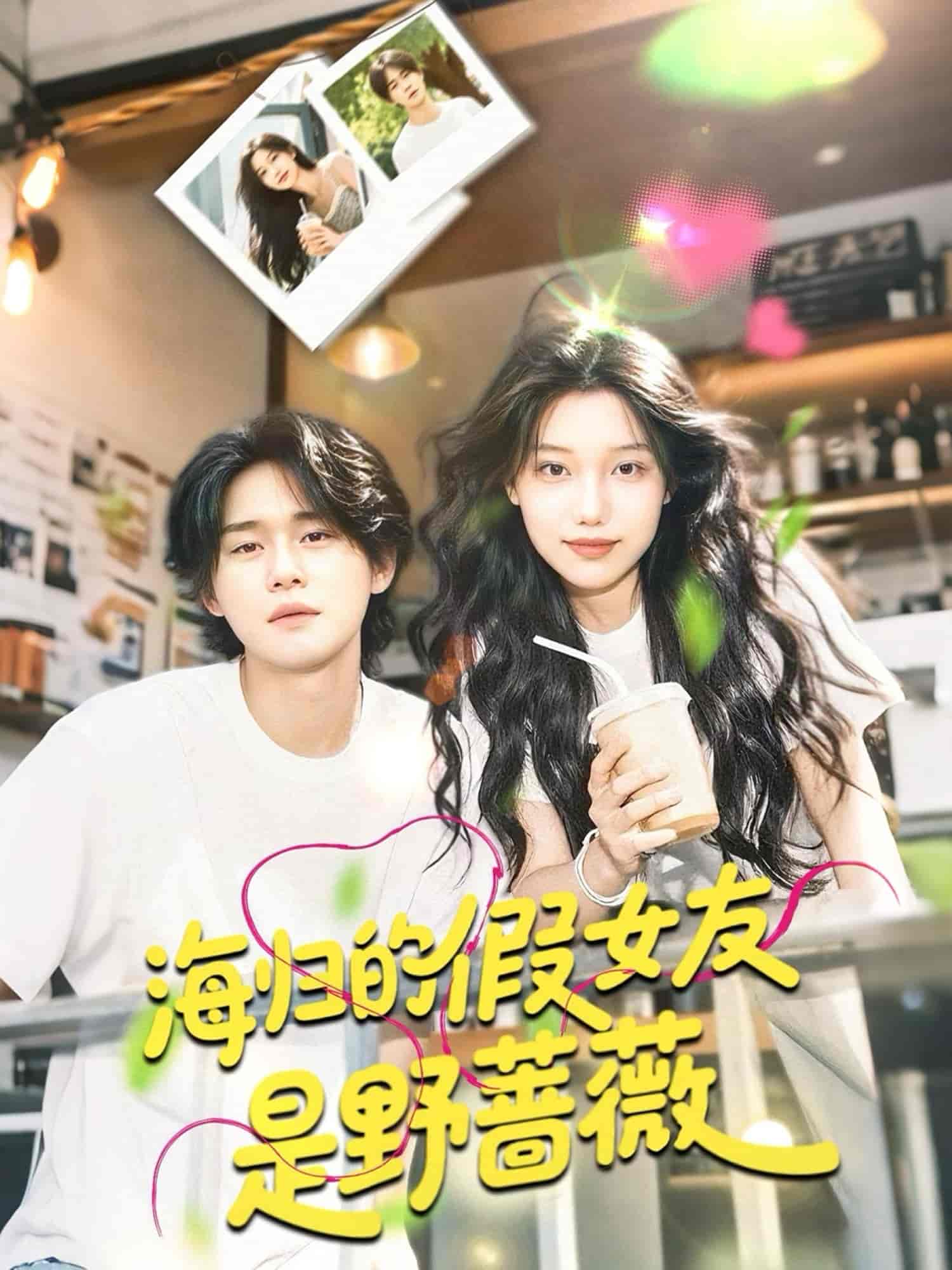 海归的假女友是野蔷薇海报