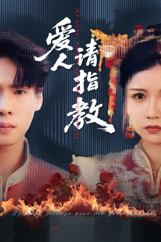 爱人请指教海报