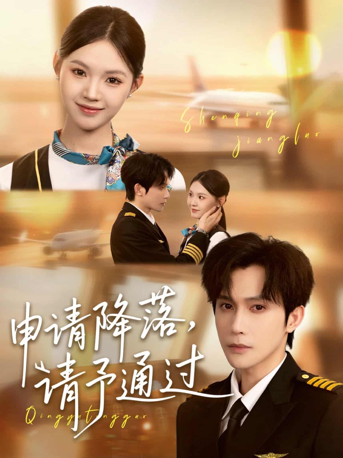 申请降落请予通过海报