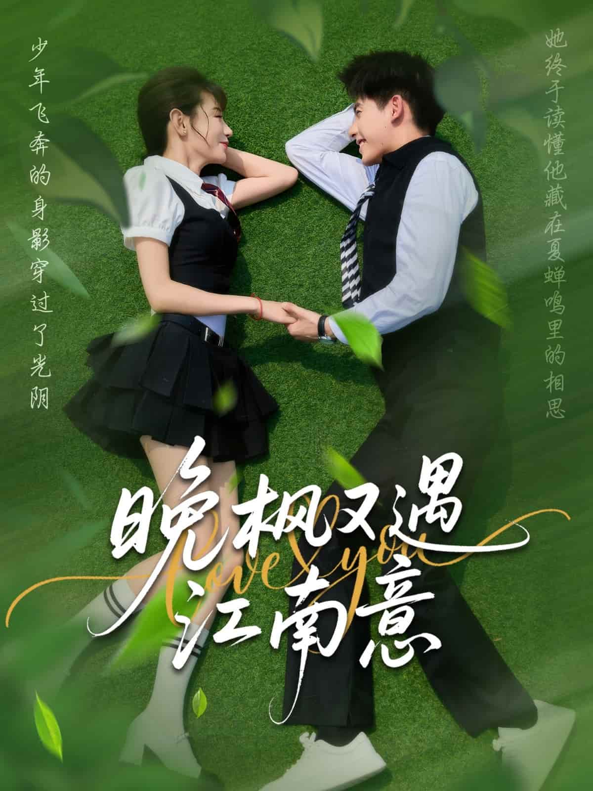 晚枫又遇江南意海报
