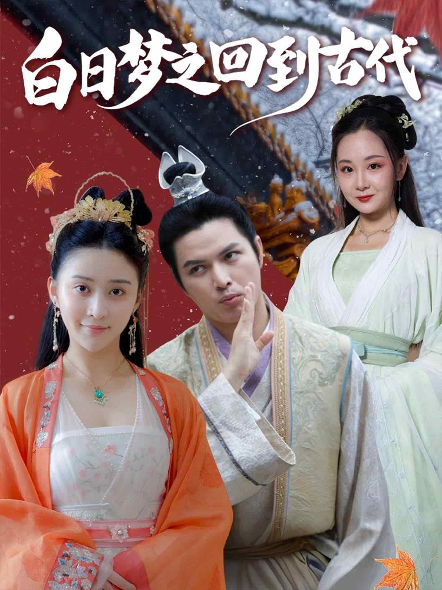 白日梦之回到古代海报
