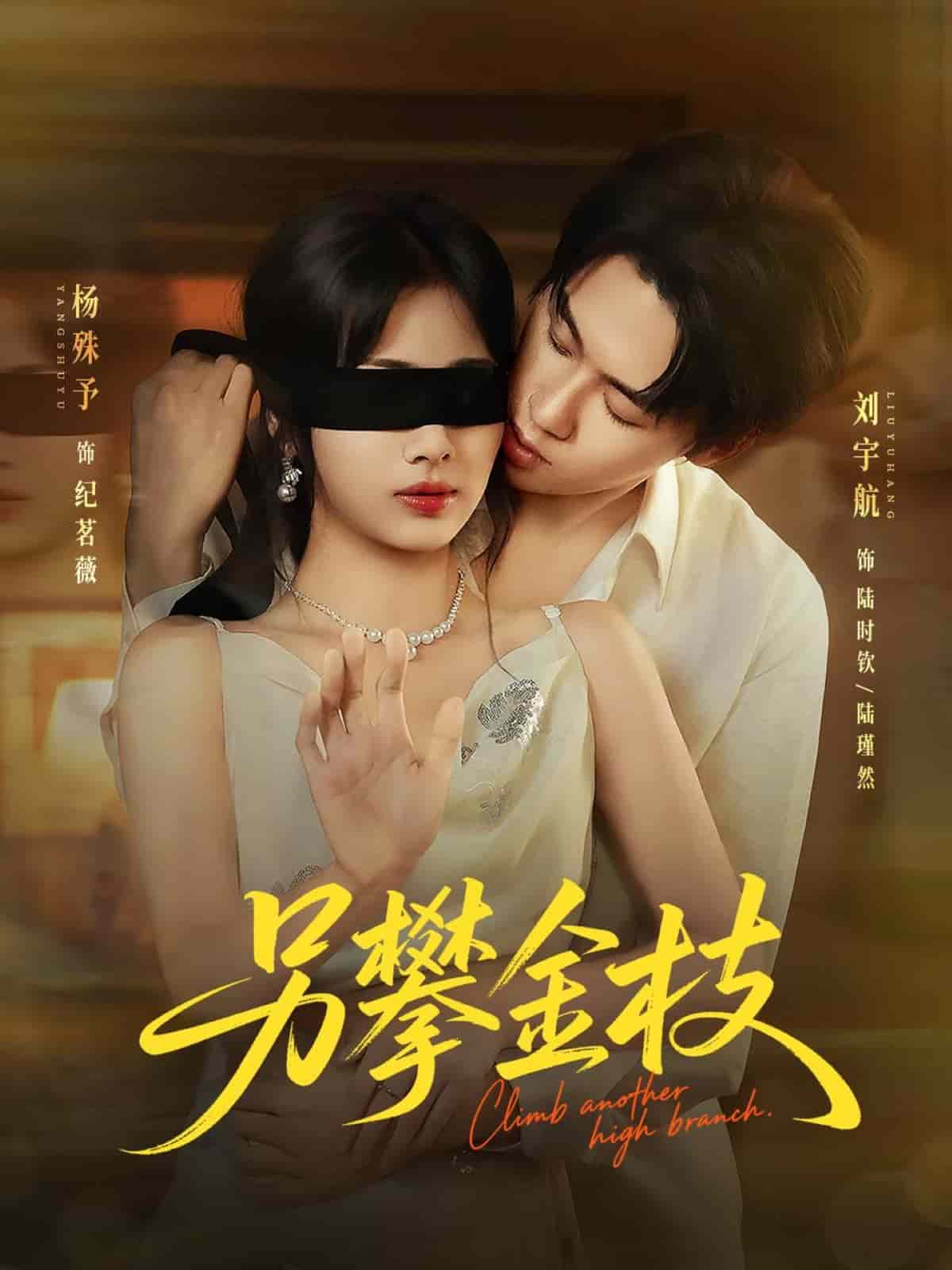 另攀高枝海报