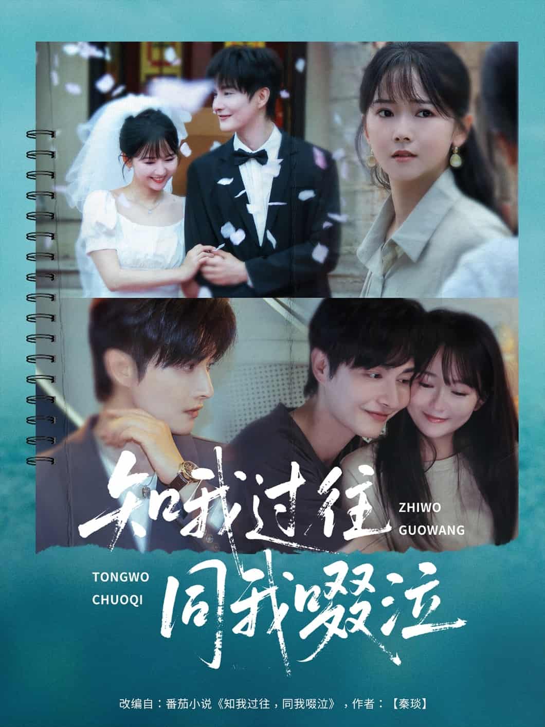 知我过往同我啜泣海报