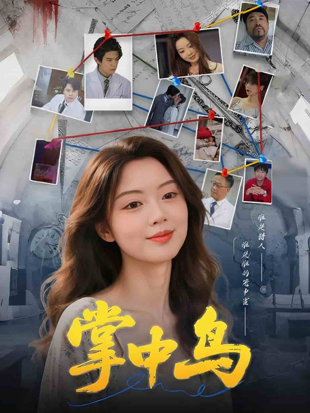 掌中鸟海报