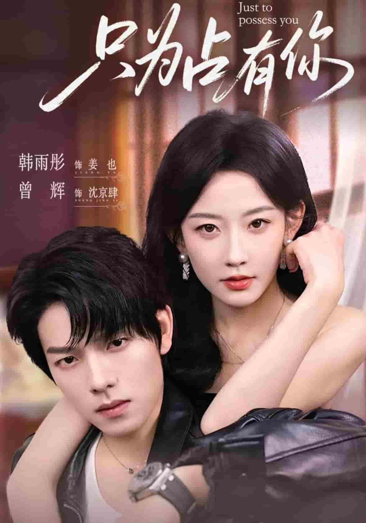 只为占有你海报