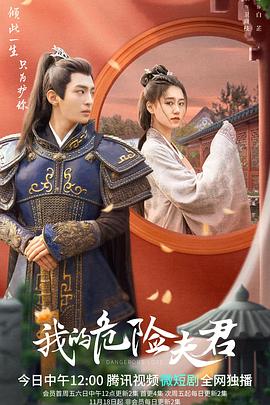 我的危险夫君海报