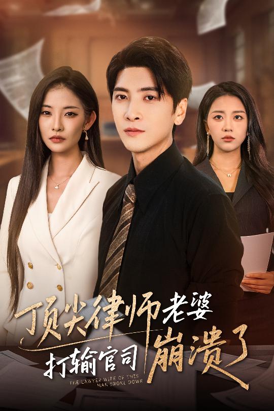 顶尖律师老婆打输官司崩溃了海报