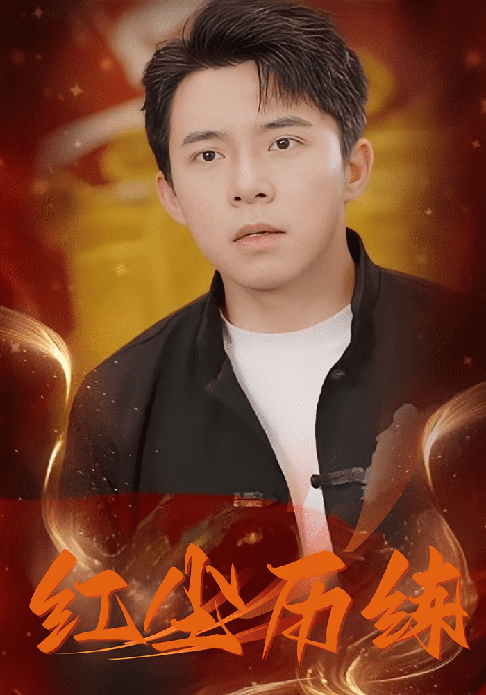 红尘历练海报