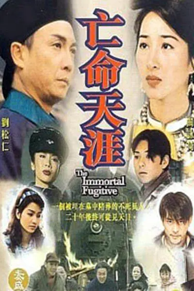 亡命天涯国语海报