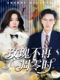 玫瑰不再凋零时海报