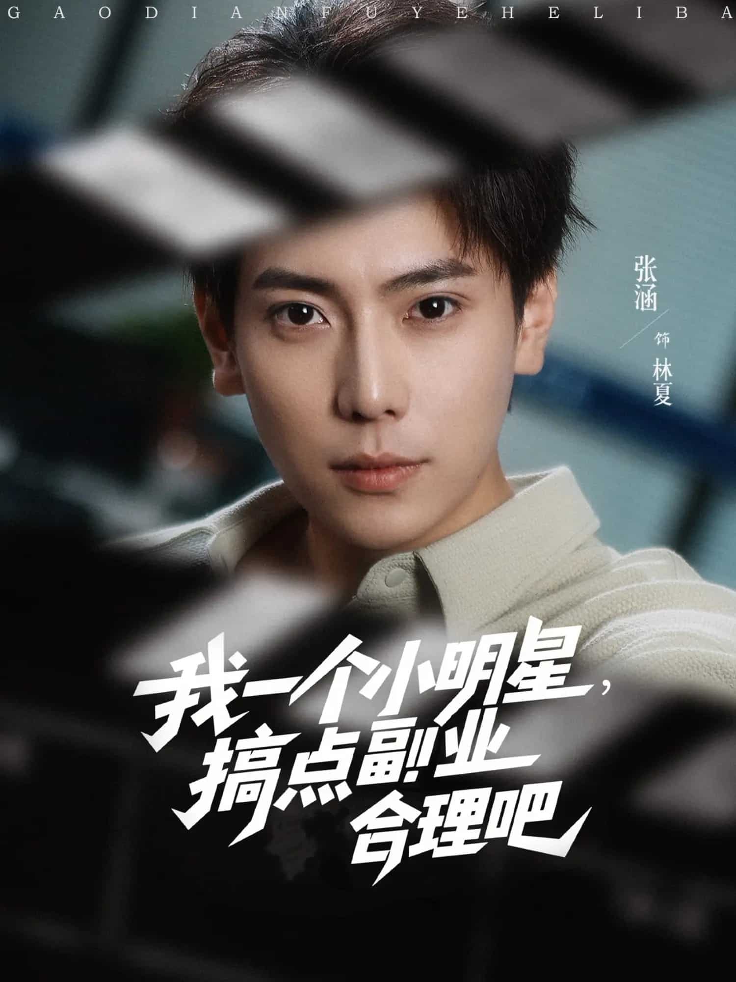 我一个小明星，搞点副业合理吧海报