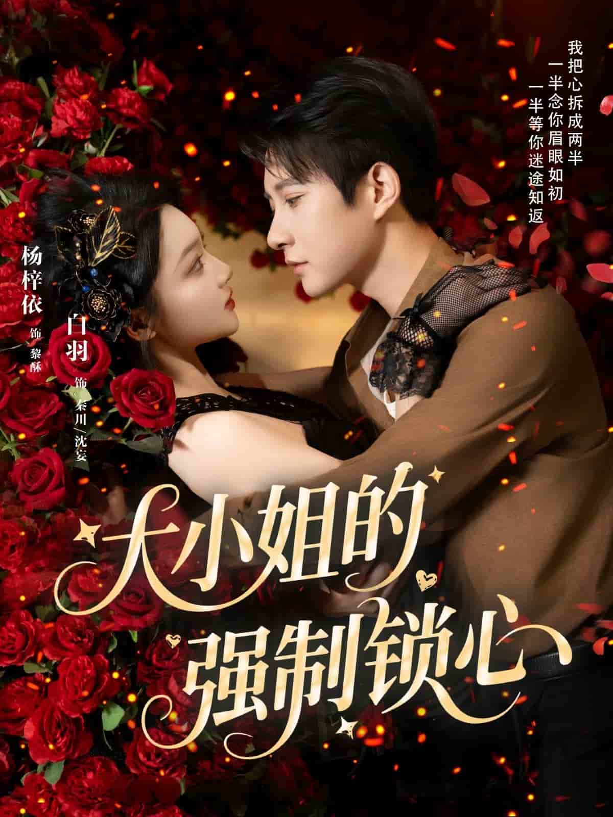 大小姐的强制锁心海报