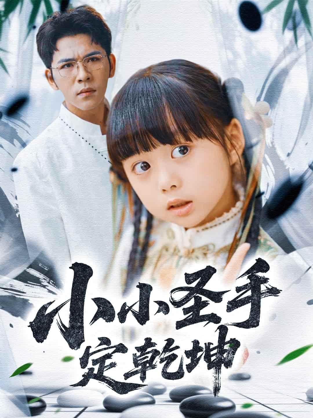 小小圣手定乾坤海报