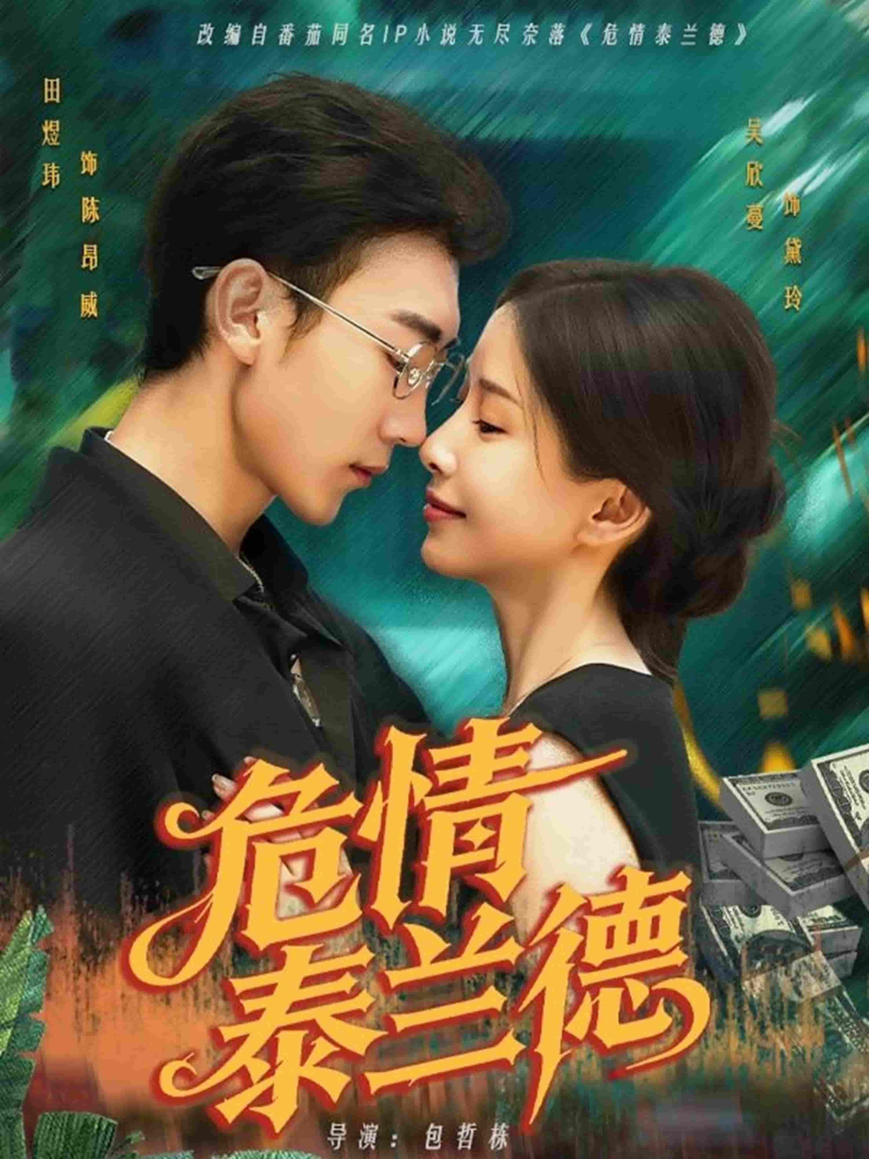 危情泰兰德海报