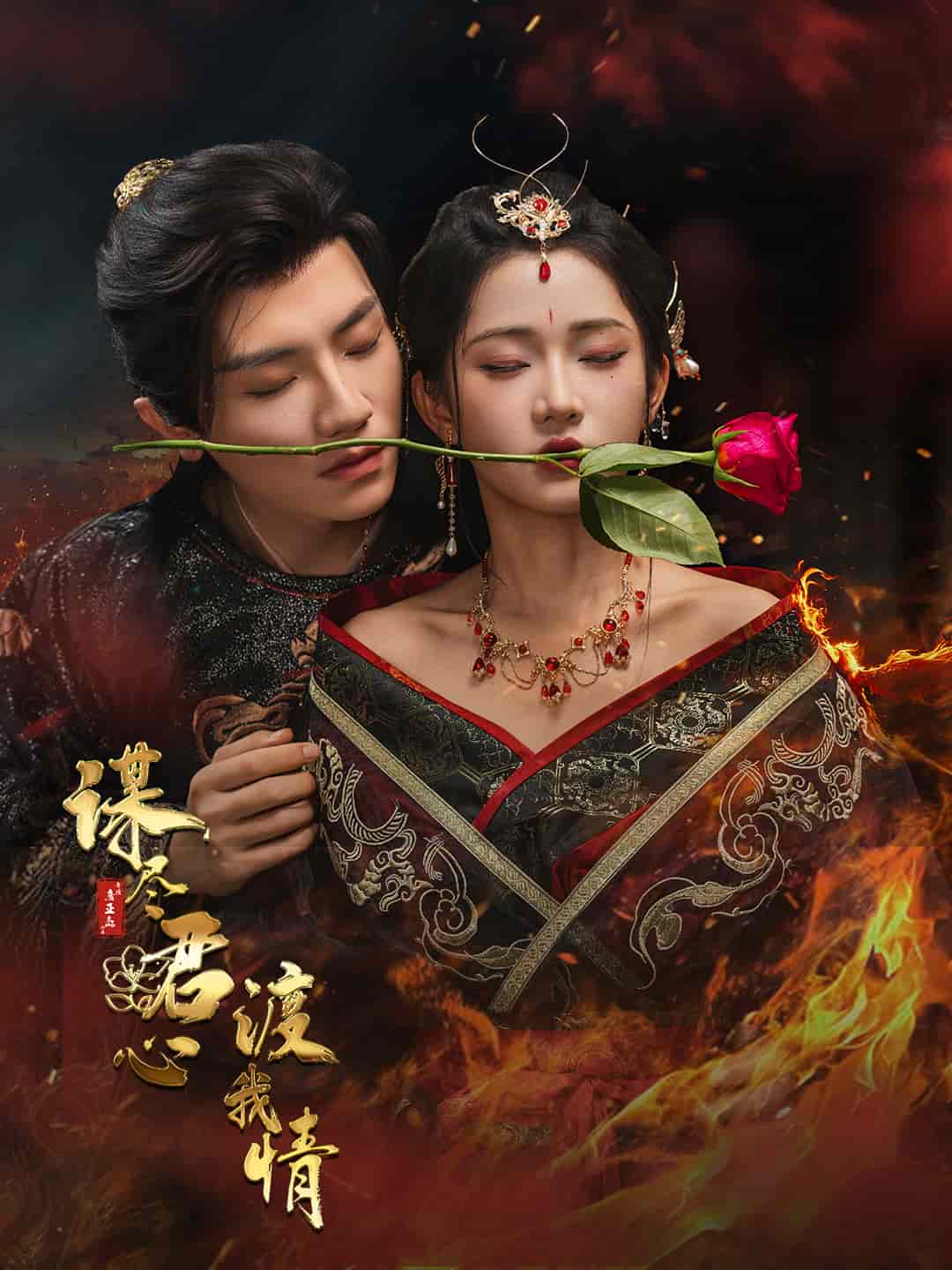 谋尽君心渡我情海报