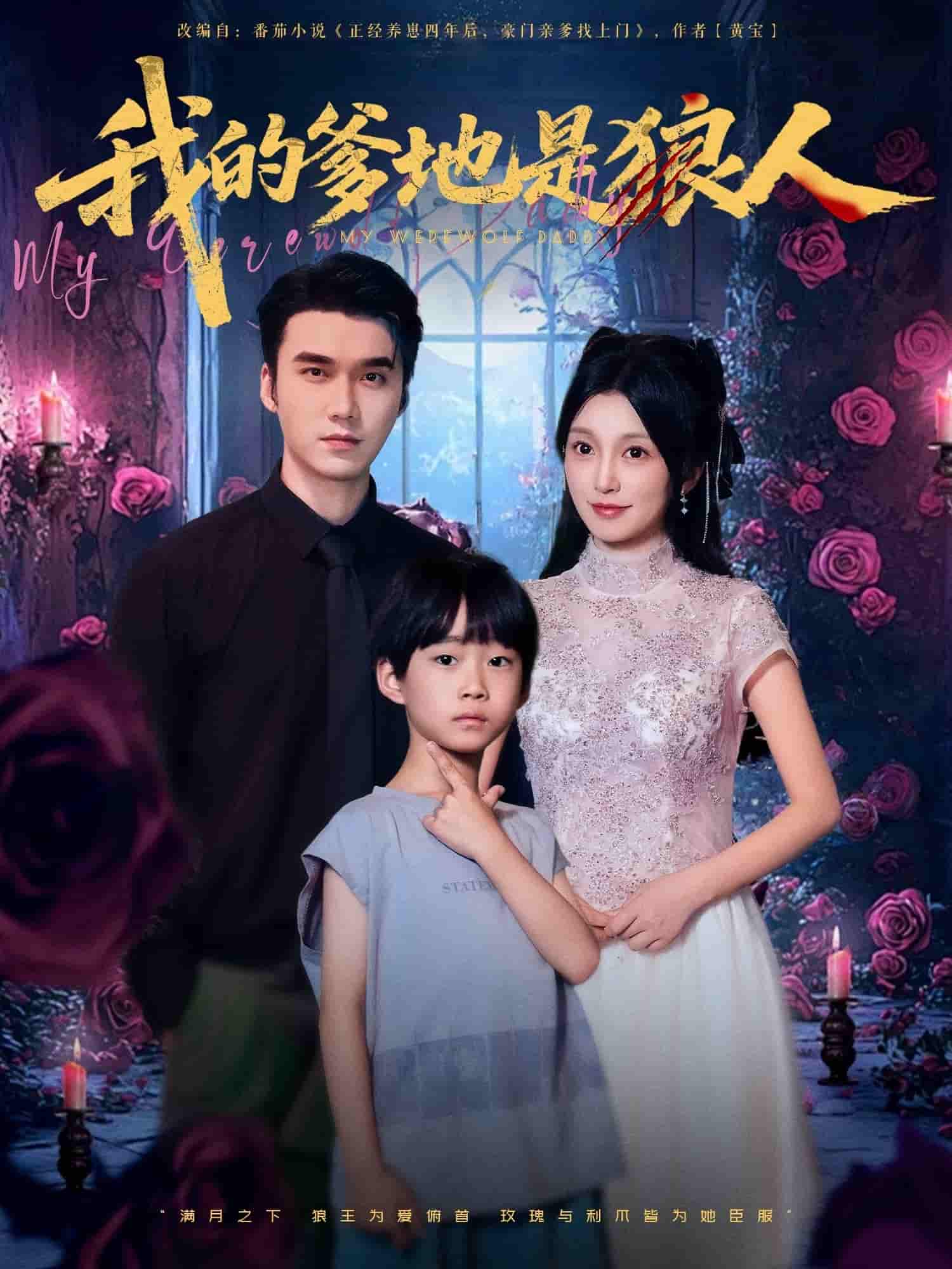 我的爹地是狼人海报