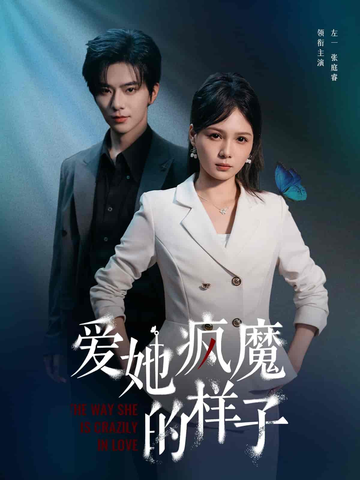 爱她疯魔的样子海报