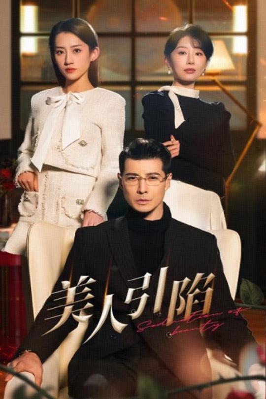 美人引陷海报